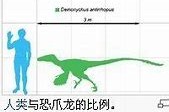 我国科学家发现世界最大恐爪龙类足迹