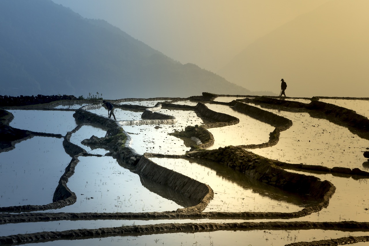 科技视角下的生肖文化，解密大地万千背后的生肖象征